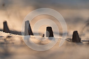 close-up of a fence almost completely buried in sand