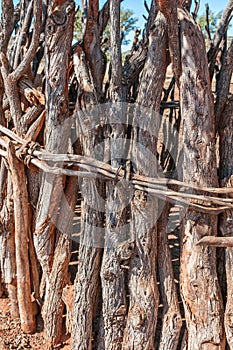 Close-up of fence of a Himba kraal