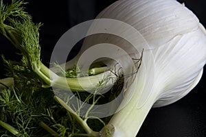 Close Up of a Fennel