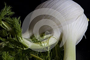 Close Up of a Fennel