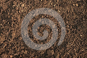 Close-up of fertile loam for the background