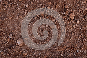 Close-up of fertile loam for the background