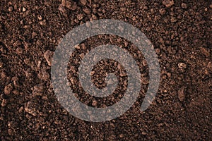 Close-up of fertile loam for the background