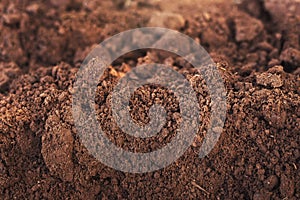 Close-up of fertile loam for the background