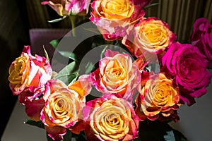 Close-up of festive fresh rose with original yellow and crimson coloration.