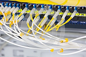 Close up fiber optic in server room , network cables installed in the rack Abstract image for use as a background