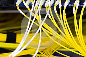 Close up fiber optic in server room , network cables installed in the rack Abstract image for use as a background