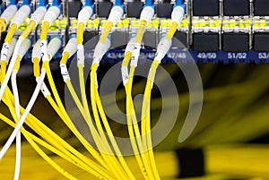 Close up fiber optic in server room , network cables installed in the rack Abstract image for use as a background