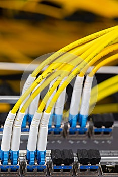 Close up fiber optic in server room , network cables installed in the rack Abstract image for use as a background