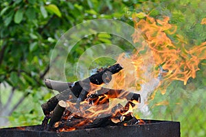 Close up of fire on chargrill. Dry sticks smoulder. Concept of cooking on grill