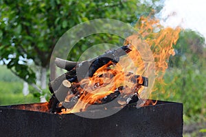 Close up of fire on chargrill. Dry sticks smoulder. Concept of cooking on grill