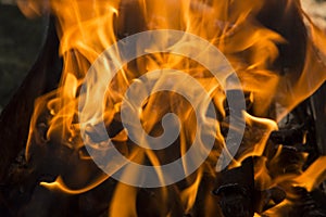 close-up: fire flames in the outdoors grill box for barbeque