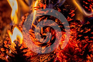 Close up on a fire with pine cones