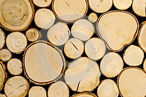 Close up of a Firewood Wall