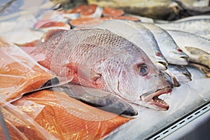 Close up of fish on display in fish market. Open showcases of seafood market. Healthy diet concept