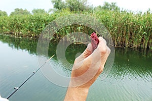 Close-up of a fisherman`s male hand throws a piece of fish bait into the water.