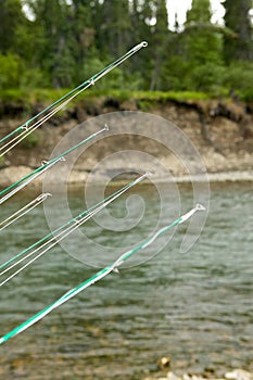 Close up of fishing rod tips with river background