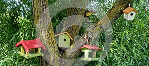 Close up of five birdhouses hanging on a tree