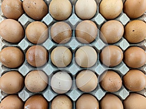 Close up flat lay of fresh eggs in cardboard box