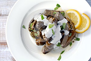 Close up flat lay of a plate of Yaprak sarma from the Turkish cu photo