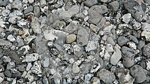 Close-up of flintstone at rugen island chalk rock cliff