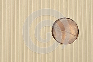 Close-up Flip-flop Sole