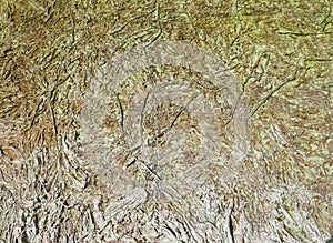 Close up of floor of fountain at square in front of Primada Santa Maria de Toledo. Castile La Mancha, Spain.