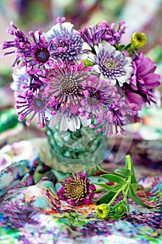 Close-up floral composition with a purple flowers.