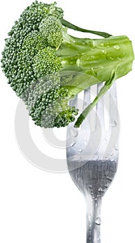 Close up of floret broccoli on fork