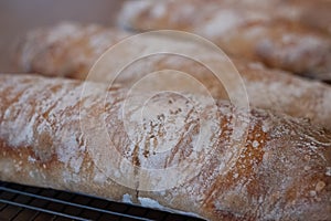 Close up of floury home made ciabatta sour dough loaves cooling on a wire tray, baked during the Coronavirus lockdown.