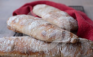 Close up of floury home made ciabatta sour dough loaves cooling on a wire tray, baked during the Coronavirus lockdown.