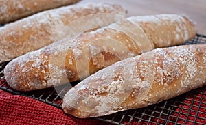 Close up of floury home made ciabatta sour dough loaves cooling on a wire tray, baked during the Coronavirus lockdown.