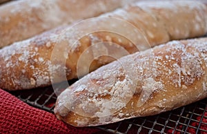 Close up of floury home made ciabatta sour dough loaves cooling on a wire tray, baked during the Coronavirus lockdown.