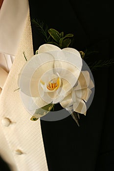 Flower on grooms black Tuxedo photo