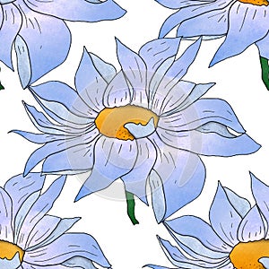 Close-up flower chamomile seamless pattern.