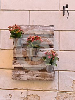 Close up of flower pots hanging on a wall