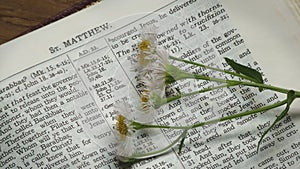 Close Up of Flowers on a Bible