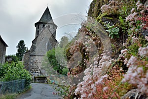 Close up of flowers and Church of St. Peter of Vic-sur-Cere