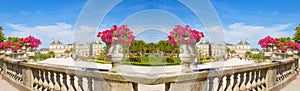 Close Up flowers in the garden with blurred beautiful view in background of the Luxembourg Gardens, place of famous landmark in