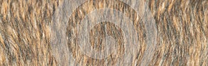 Close-up of a fluffy dark brown faux fur fabric with a background texture