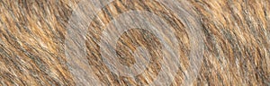 Close-up of a fluffy dark brown faux fur fabric with a background texture