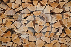 Close-up folded logs from the tree of Caucasian Fagus orientalis beech oriental in the form of woodpile