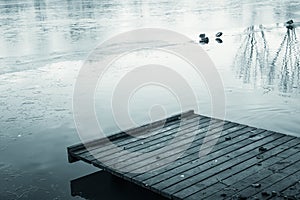 Close up on footbridge on lake with ducks in winter season in black and white, ljubljana, slovenia