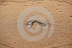 Close-up footprint in sandy beach. Barefoot trail, step track on sand texture. Bare human feet on wet sand, top view.
