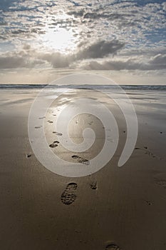 Close up on footsteps on sandy ground in beautiful golden sunset on biscarrosse beach, france photo