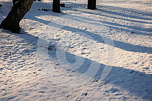 Close up of footsteps in snow