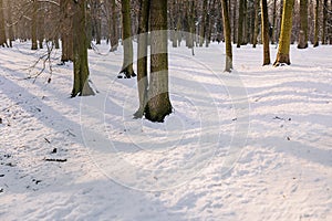 Close up of footsteps in snow