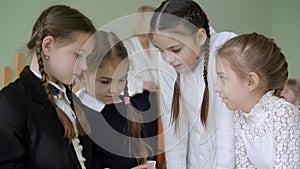 Close-up of four schoolgirls gossiping with blurred teacher talking at the background. Cute Caucasian girls sharing