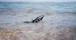 A close-up of the FPV drone, which lies on the coast in the ocean in the water.