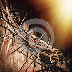 Close up fragent of crown of thorns as a symbol of resurrection of Jesus Christ